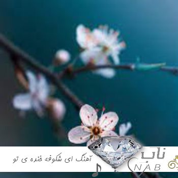 دانلود آهنگ ای شکوفه خنده ی تو جلوه ها دارد ریمیکس با صدای زن اینستا دانلود آهنگ ای شکوفه خنده ی تو جلوه ها دارد ریمیکس با صدای زن اینستا