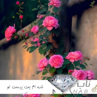 دانلود آهنگ شده ام بت پرست تو با صدای زن هایده هوش مصنوعی دانلود آهنگ شده ام بت پرست تو با صدای زن هایده هوش مصنوعی