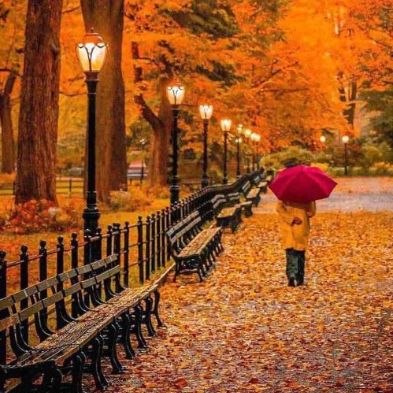 دانلود آهنگ آورد برام خبر یه قاصدک با صدای زن ریمیکس