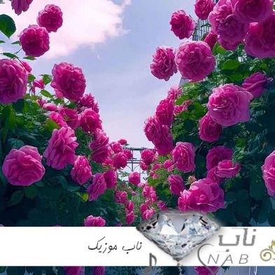 دانلود آهنگ حالا هی گوش نکن به حرفم بچرخ تا من بچرخم ریمیکس با صدای زن هوش مصنوعی