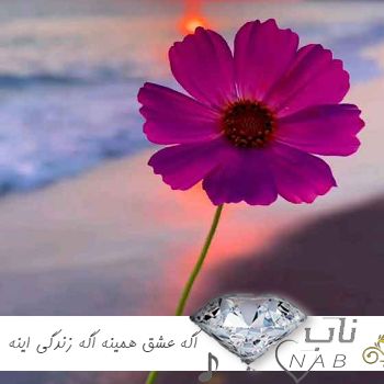 دانلود آهنگ اگه عشق همینه اگه زندگی اینه نمیخوام چشمام دنیارو ببینه هوش مصنوعی دانلود آهنگ اگه عشق همینه اگه زندگی اینه نمیخوام چشمام دنیارو ببینه هوش مصنوعی