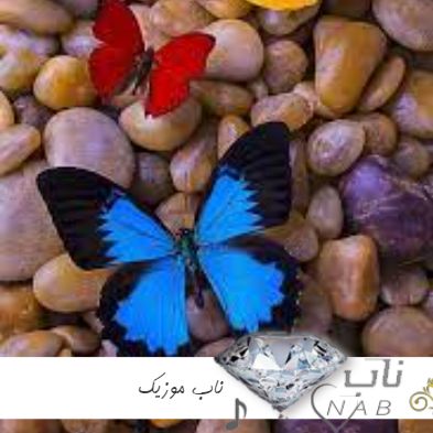 دانلود آهنگ باز منو کاشتی رفتی با صدای زن ریمیکس دانلود آهنگ باز منو کاشتی رفتی با صدای زن ریمیکس