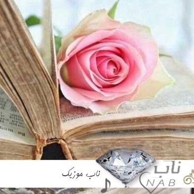 آهنگ عشق جذاب من دلبر طناز من هایده هوش مصنوعی ( گل گل نیلوفری با صدای بچه زن مرد ریمیکس )