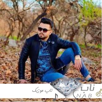 دانلود آهنگ های مصطفی ابراهیمی و سعید اورنگی ریمیکس معروف اینستا 1403