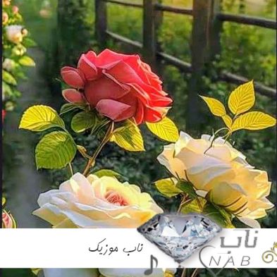 دانلود آهنگ ابرو یاشار و سیام یوکسن Ebru Yaşar - Siyam - Yoksun ریمیکس اینستا دانلود آهنگ ابرو یاشار و سیام یوکسن Ebru Yaşar - Siyam - Yoksun ریمیکس اینستا