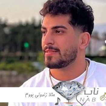 دانلود آهنگ مثلا زندونی بووم بکشم یار حبس تو ریمیکس اینستا تمام اجراها دانلود آهنگ مثلا زندونی بووم بکشم یار حبس تو ریمیکس اینستا تمام اجراها
