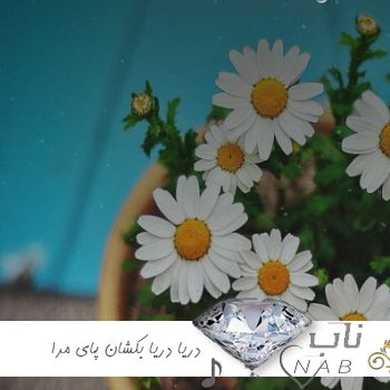 دانلود آهنگ دریا دریا بکشان پای مرا هوش مصنوعی مهستی دانلود آهنگ دریا دریا بکشان پای مرا هوش مصنوعی مهستی