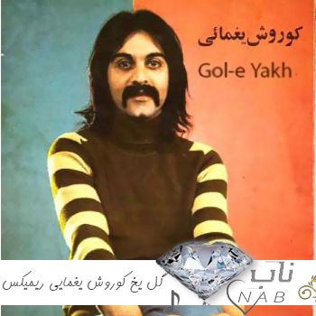 دانلود آهنگ گل یخ کوروش یغمایی ورژن جدید ریمیکس ( غم میون دوتا چشمون قشنگت لونه کرده ) دانلود آهنگ گل یخ کوروش یغمایی ورژن جدید ریمیکس ( غم میون دوتا چشمون قشنگت لونه کرده )