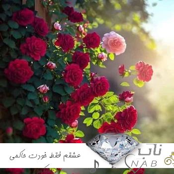 دانلود آهنگ عشقم فقط خودت حاکمی رفیق فابمی ریمیکس بیس دار اینستا دانلود آهنگ عشقم فقط خودت حاکمی رفیق فابمی ریمیکس بیس دار اینستا