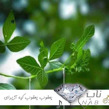 دانلود آهنگ یعقوب یعقوب کیه آژیرای مامور ریمیکس اینستا ترند + متن آهنگ کامل