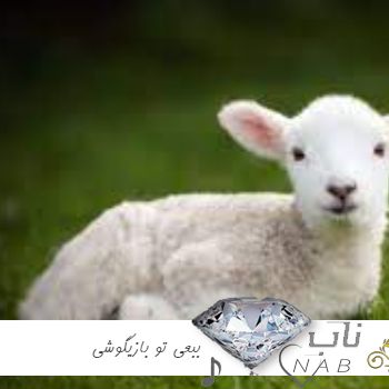 دانلود آهنگ ببعی تو بازیگوشی اینستا ریمیکس ( ببعی شیطون بلا بامزه و ناقلا )