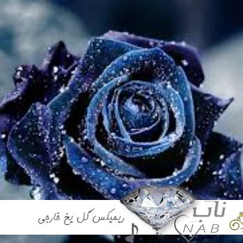 دانلود ریمیکس گل یخ کوروش یغمایی منچستر سیتی - ریمیکس خارجی گل یخ Remix By Matt Baila دانلود ریمیکس گل یخ کوروش یغمایی منچستر سیتی - ریمیکس خارجی گل یخ Remix By Matt Baila