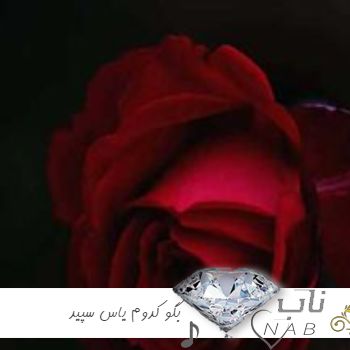 دانلود آهنگ بگو کدوم یاس سپید به خلوت بوسه رسید هوش مصنوعی ریمیکس