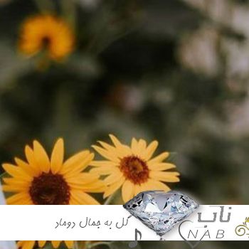 دانلود اهنگ گل به جمال دوماد عروس خانم چه نازه ریمیکس ارکستری