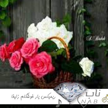 دانلود ریمیکس یار خوشگلم زلیخا ورژن جدید ترند اینستایی ادل عباس قادری