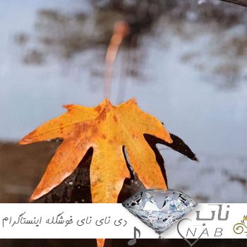 دانلود آهنگ دی نای نای خوشگله اینستاگرام ریمیکس ترند اینستایی دانلود آهنگ دی نای نای خوشگله اینستاگرام ریمیکس ترند اینستایی
