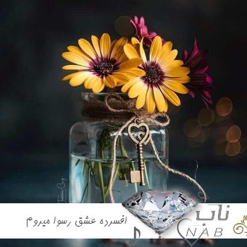 دانلود آهنگ افسرده از این عشق رسوا میروم با صدای دختر اینستایی ترند کامل با گیتار دانلود آهنگ افسرده از این عشق رسوا میروم با صدای دختر اینستایی ترند کامل با گیتار