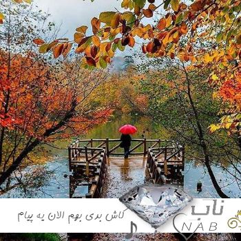 دانلود آهنگ کاش بدی بهم الان یه پیام ریمیکس اینستا ترند بیس دار تند دانلود آهنگ کاش بدی بهم الان یه پیام ریمیکس اینستا ترند بیس دار تند