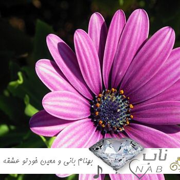 دانلود آهنگ بهنام بانی و معین به نام خودتو عشقه هوش مصنوعی ریمیکس اینستا