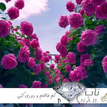 دانلود آهنگ کم طاقتم و دوری کنی تاب ندارم از عشق تو مجنون شدم و خواب ندارم معین هوش مصنوعی دانلود آهنگ کم طاقتم و دوری کنی تاب ندارم از عشق تو مجنون شدم و خواب ندارم معین هوش مصنوعی
