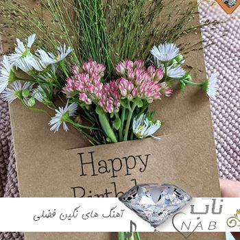 دانلود آهنگ های نگین فضلی چالشی ترند اینستایی فول آلبوم یکجا دانلود آهنگ های نگین فضلی چالشی ترند اینستایی فول آلبوم یکجا