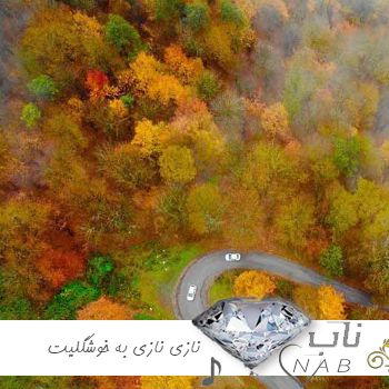دانلود آهنگ نازی نازی به خوشگلیت مینازی ریمیکس صدای زن مرد