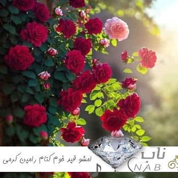 دانلود آهنگ کردی امشو قید خوم کتام هرطور خوش بیدن گلم رامین کرمی ریمیکس دانلود آهنگ کردی امشو قید خوم کتام هرطور خوش بیدن گلم رامین کرمی ریمیکس