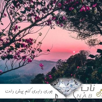 دانلود آهنگ جوری دلبری کنم پیش دلت که روانی شه دلت ریمیکس دیجی سونامی دانلود آهنگ جوری دلبری کنم پیش دلت که روانی شه دلت ریمیکس دیجی سونامی