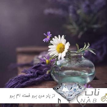 دانلود آهنگ از یاد من برو خسته ام برو با صدای زن هایده ریمکیس دیجی موریکس ( هوش مصنوعی )
