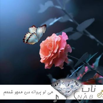 دانلود آهنگ هی تو پروانه من همچو شمعم که از رفتن تو بسوزم ریمیکس با صدای زن مرد