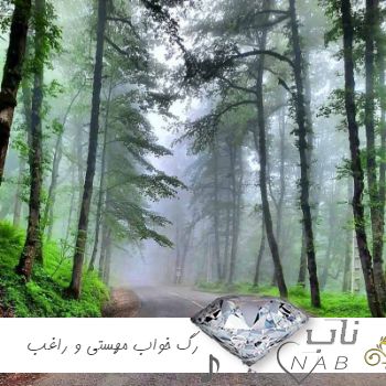 دانلود آهنگ رگ خواب مهستی و راغب هوش مصنوعی ( فقط تویی باب دلمو بلدی رگ خواب دلمو ) دانلود آهنگ رگ خواب مهستی و راغب هوش مصنوعی ( فقط تویی باب دلمو بلدی رگ خواب دلمو )