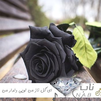 دانلود آهنگ ای گل ناز من تویی دلدار من ریمیکس اینستا از بهزاد عیدیوند ( تمام اجراها ) دانلود آهنگ ای گل ناز من تویی دلدار من ریمیکس اینستا از بهزاد عیدیوند ( تمام اجراها )