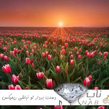 دانلود آهنگ دست بردار تو نباشی اینجا من دست تنهام با صدای زن ریمیکس اینستاگرام