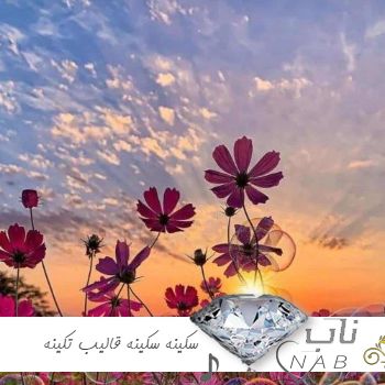دانلود آهنگ سکینه سکینه قالیب تکینه ریمیکس اینستاگرام دانلود آهنگ سکینه سکینه قالیب تکینه ریمیکس اینستاگرام