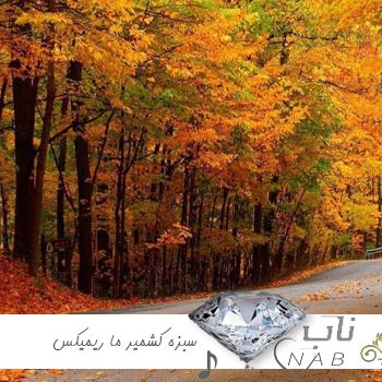 دانلود آهنگ سبزه کشمیر ما زلفای تو زنجیر ما ریمیکس بیس دار تند با صدای زن فتانه