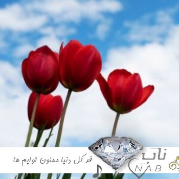دانلود آهنگ قد کل دنیا از سر دلمون ممنون توایم ریمیکس با صدای بچه ها دانلود آهنگ قد کل دنیا از سر دلمون ممنون توایم ریمیکس با صدای بچه ها