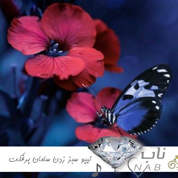 دانلود آهنگ تیپو سبز زدن سیدی میکشمشون سامان پرفکت ریمیکس اینستا