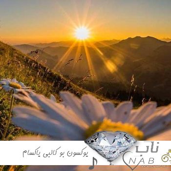 دانلود آهنگ یوکسون بو کالبی یاکسام yoksun bu kalbi yaksam ریمیکس با صدای دختر بچه