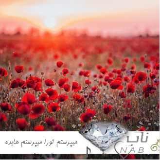 دانلود آهنگ میپرستم تورا میپرستم هایده ریمیکس هوش مصنوعی