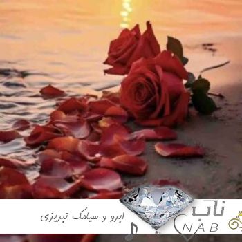 دانلود آهنگ جدید ابرو و سیامک تبریزی ترند اینستا yoksun دانلود آهنگ جدید ابرو و سیامک تبریزی ترند اینستا yoksun