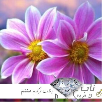دانلود آهنگ عربی بغلت میکنم عشقم با قلبم تورو با صدای دختر ریمیکس اینستا دانلود آهنگ عربی بغلت میکنم عشقم با قلبم تورو با صدای دختر ریمیکس اینستا