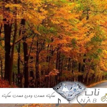 دانلود آهنگ سکینه مست ومن مست سکینه ریمیکس افغانی اینستاگرام دانلود آهنگ سکینه مست ومن مست سکینه ریمیکس افغانی اینستاگرام