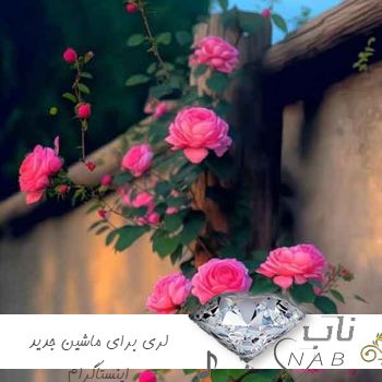 دانلود آهنگ لری برای ماشین جدید ۱۴۰۳شاخ اینستاگرام