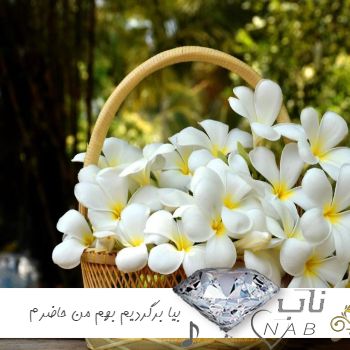 دانلود آهنگ بیا برگردیم بهم من حاضرم  فاطمه عطایی ریمیکس با صدای زن اینستا