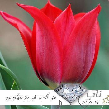 دانلود آهنگ حتی اگه بد شی بازم نمیگم برو ریمیکس اینستا کامل آرتا