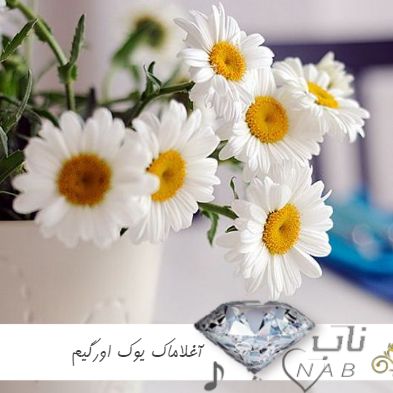 دانلود آهنگ ترکی آغلاماک یوک اورگیم Aglamak Yok Yuregim با صدای زن مرد ریمیکس دانلود آهنگ ترکی آغلاماک یوک اورگیم Aglamak Yok Yuregim با صدای زن مرد ریمیکس