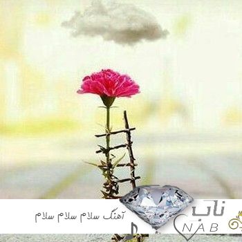 دانلود آهنگ سلام سلام سلام صدای دختر بچه ترند اینستا ریمیکس دانلود آهنگ سلام سلام سلام صدای دختر بچه ترند اینستا ریمیکس