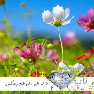 دانلود آهنگ مازندرانی لاتی شاد برای ماشین ریمیکس بیس دار 1403 - 2024 دانلود آهنگ مازندرانی لاتی شاد برای ماشین ریمیکس بیس دار 1403 - 2024