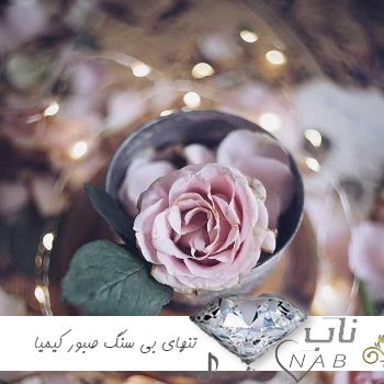 دانلود آهنگ تنهای بی سنگ صبور خونه سردو سوت کور با صدای دختر اینستا دانلود آهنگ تنهای بی سنگ صبور خونه سردو سوت کور با صدای دختر اینستا