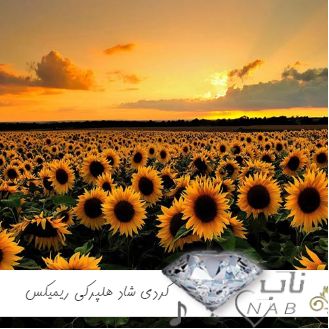 دانلود آهنگ کردی شاد هلپرکی ریمیکس برای رقص دسته جمعی 1403